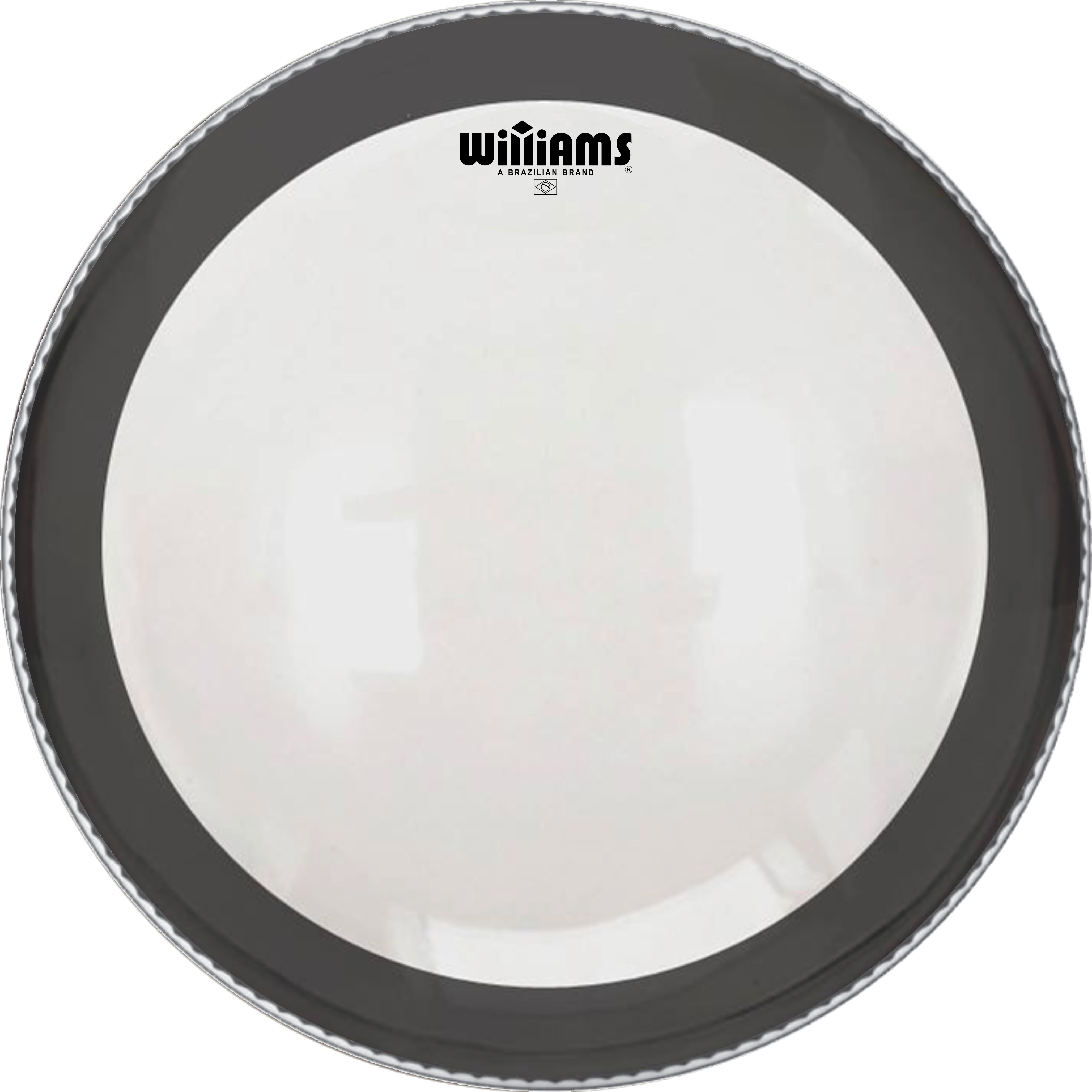 WILLIAMS W1SC-7MIL-12 Single Ply Clear Silent Circle Series 12" -  7-MIL