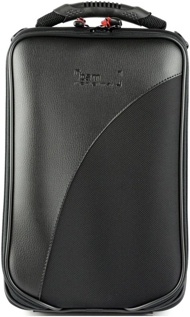 BAM CASES 3029SBN Черный - Кейс для гобоя