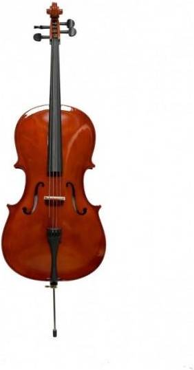 PRADO TС4/4P - виолончель 4/4 со смычком, в футляре