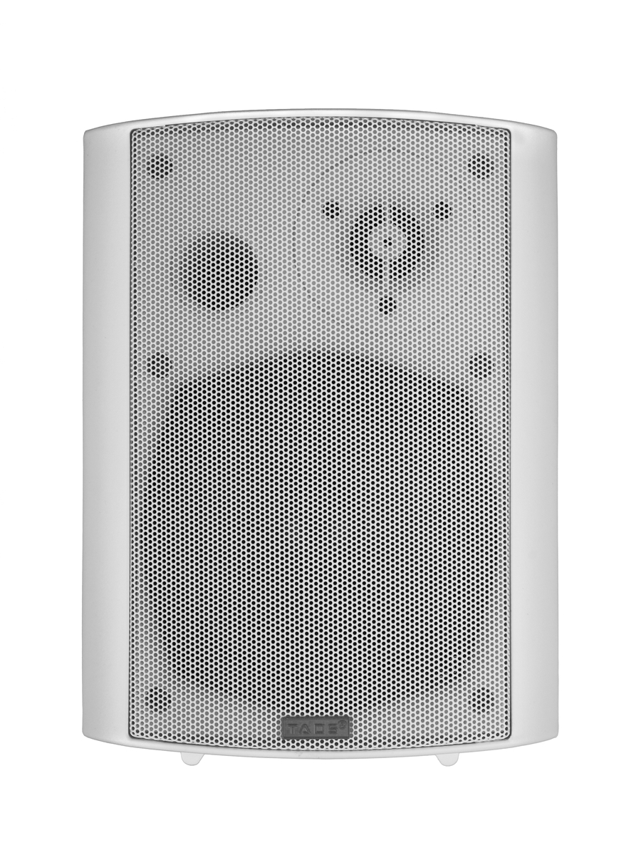 DS-502-WHITE Громкоговоритель настенный, 20Вт, TADS