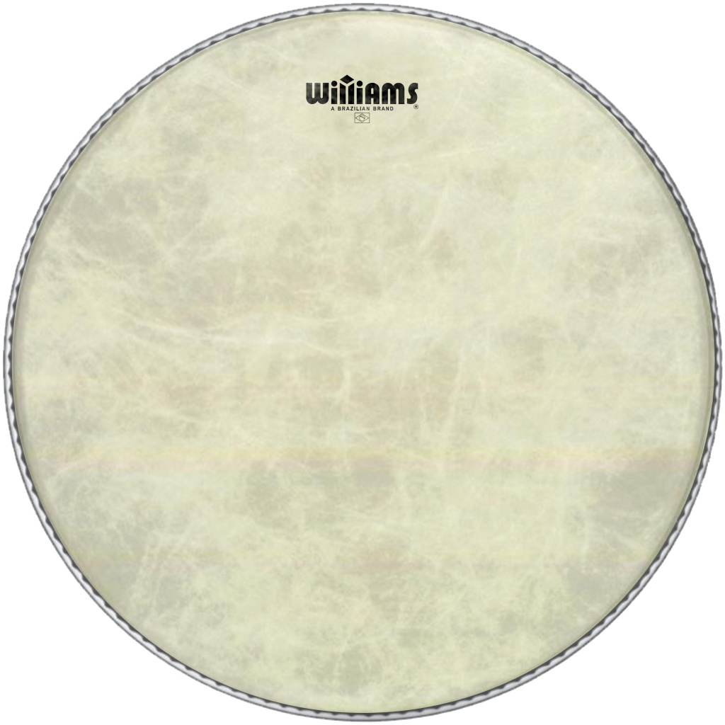 WVT1-14MIL-22 Vintage Tone Series Пластик для бас-барабана 22", Williams