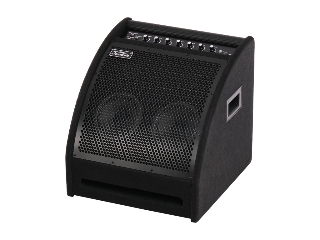 DS200 Монитор для электронной ударной установки, 200Вт, Soundking
