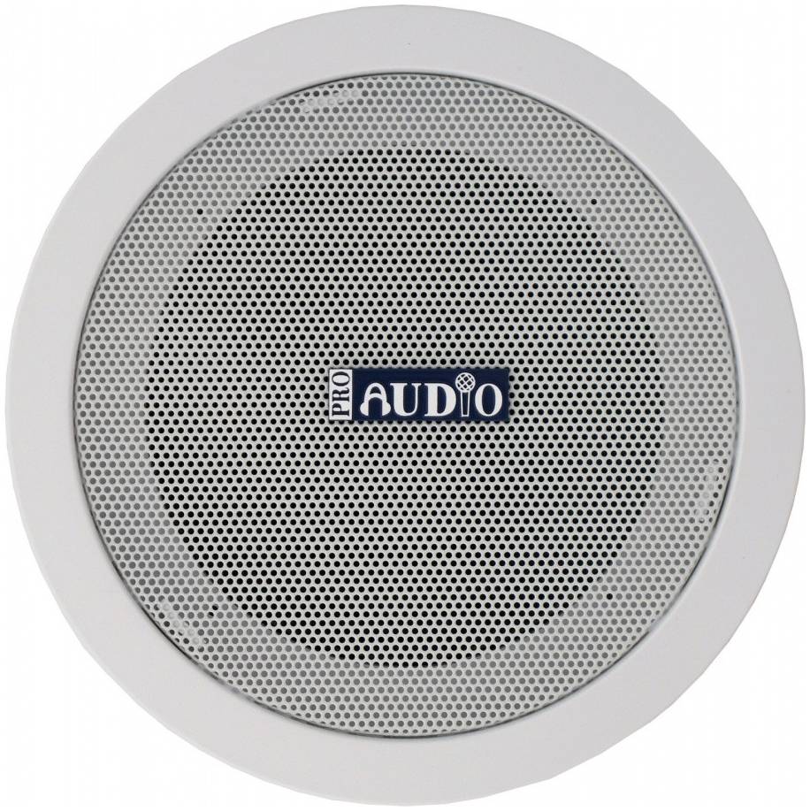 PROAUDIO CS-A1 - Акустическая система