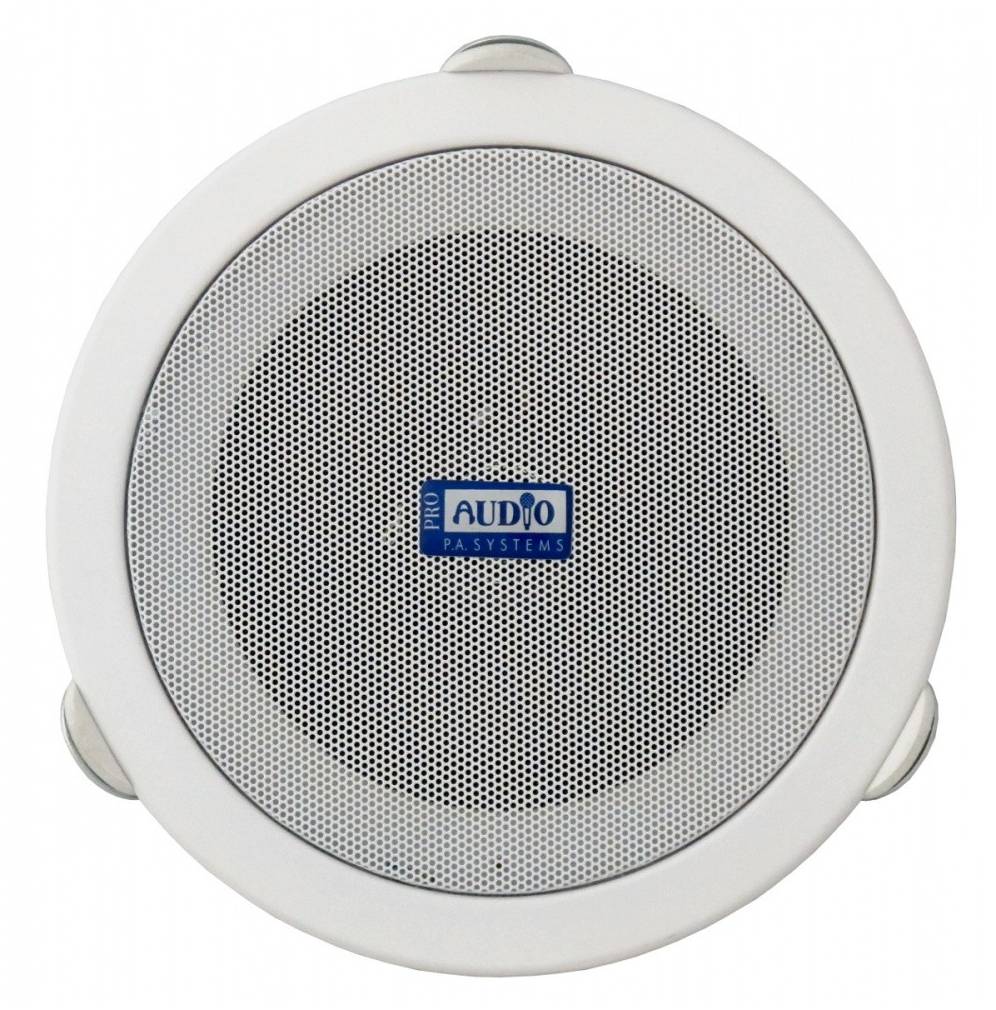 PROAUDIO CS-A6 - Акустическая система