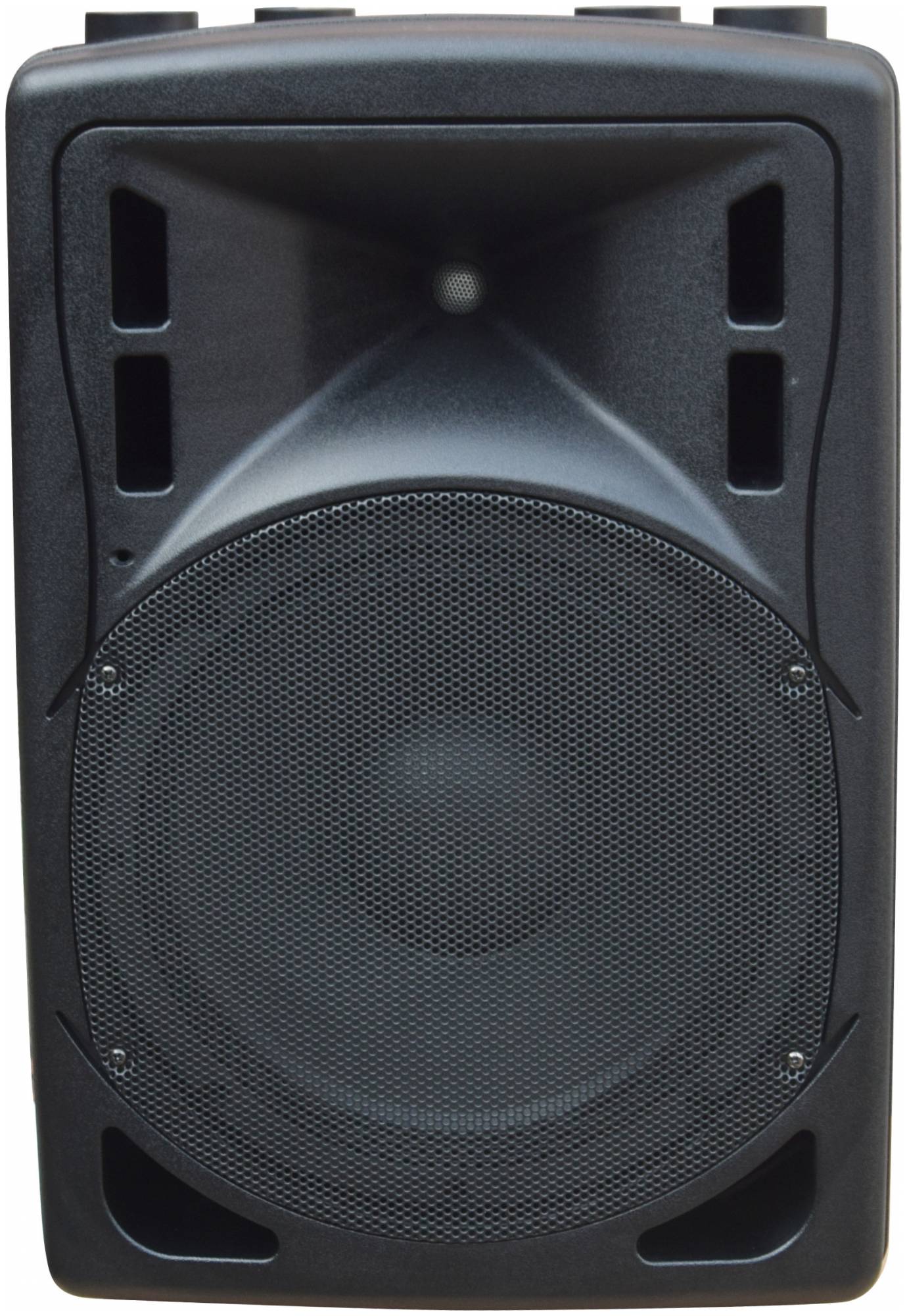 XLINE BAF-12A - Акустическая система