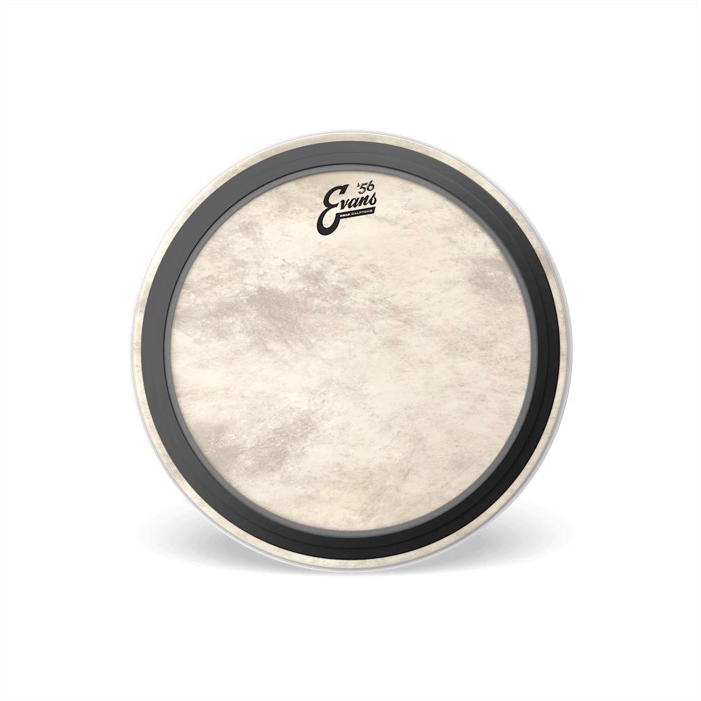 EVANS BD22EMADCT - Пластик 22"