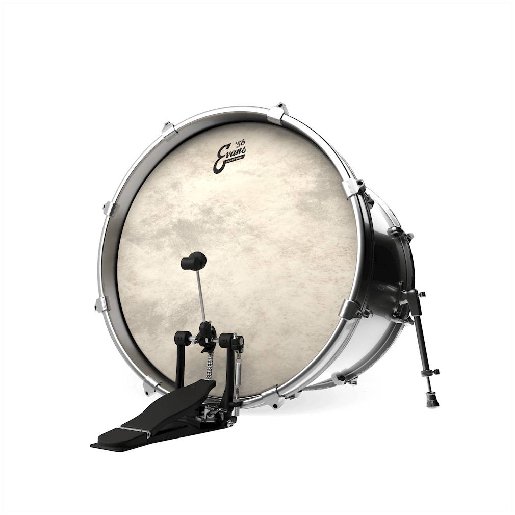 EVANS BD18CT - Пластик 18"
