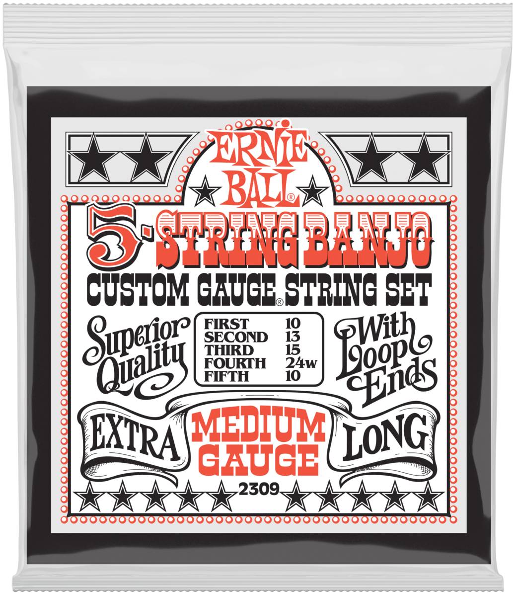 ERNIE BALL 2309 Stainless Steel Medium 10-10 - Струны для банджо