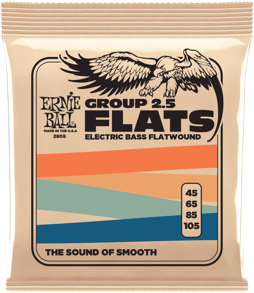 ERNIE BALL 2805 Flatwound Group 2.5 45-105 - Струны для бас-гитары