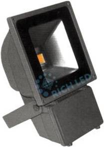 RICH LED RL-FL-12-70-W - Светодиодный прожектор