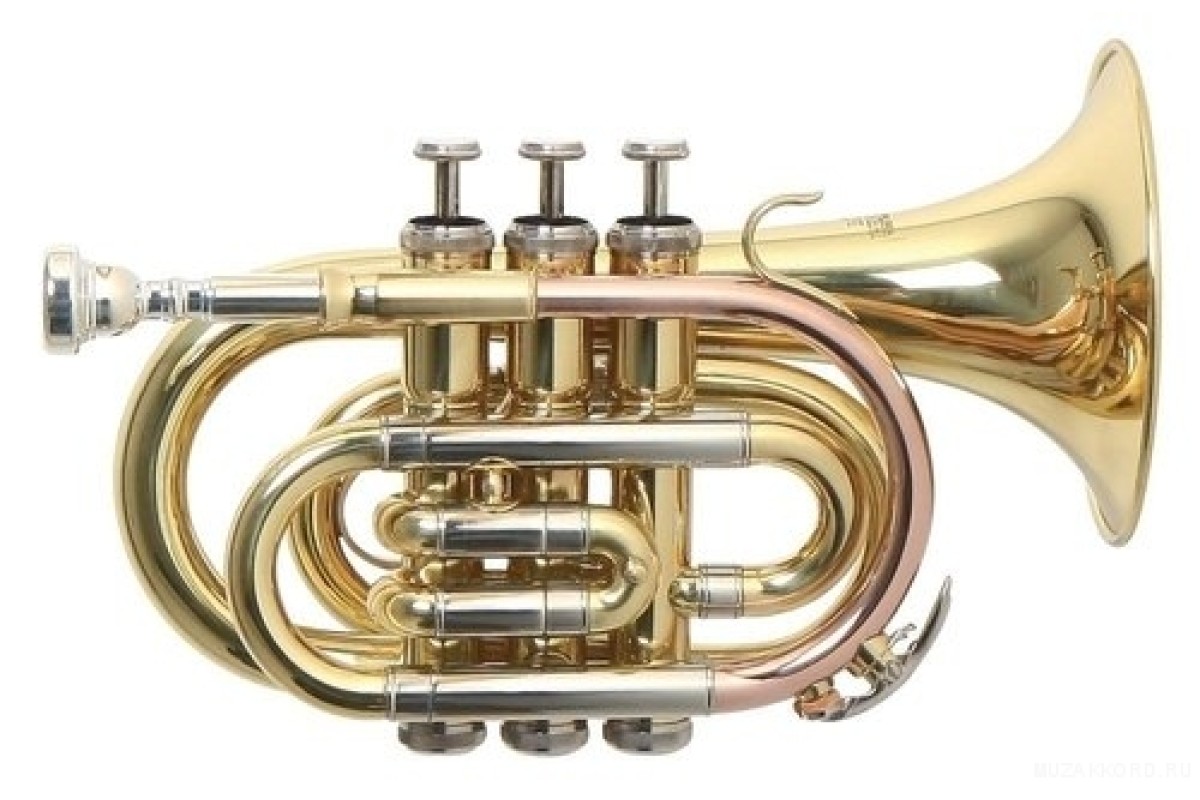 Roy Benson PT-302 карманная труба