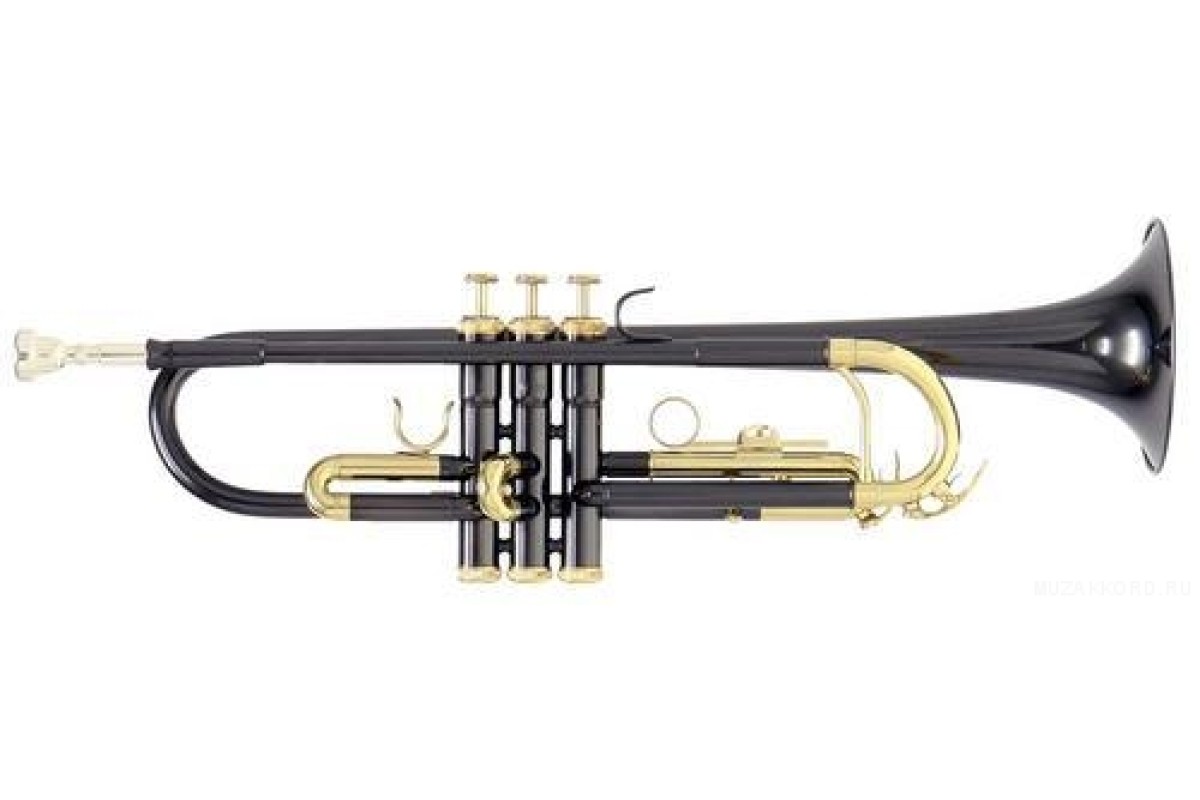 Roy Benson TR-101K Bb труба