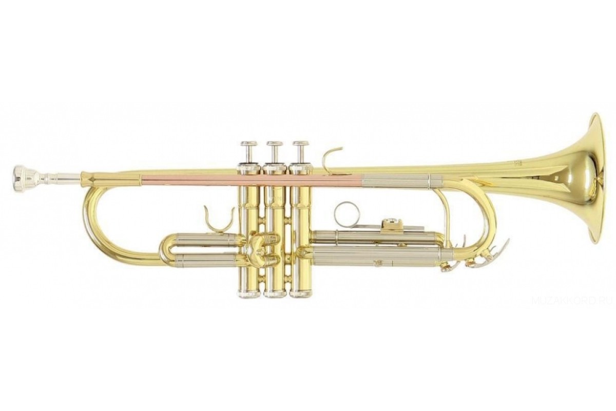 Roy Benson TR-202 Bb труба