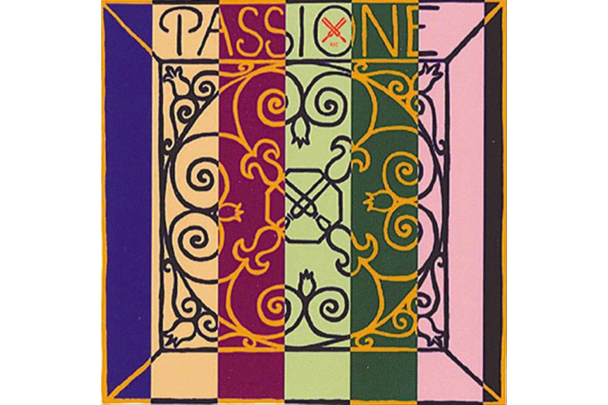 PIRASTRO Passione Solo 219081 струны для скрипки 4/4