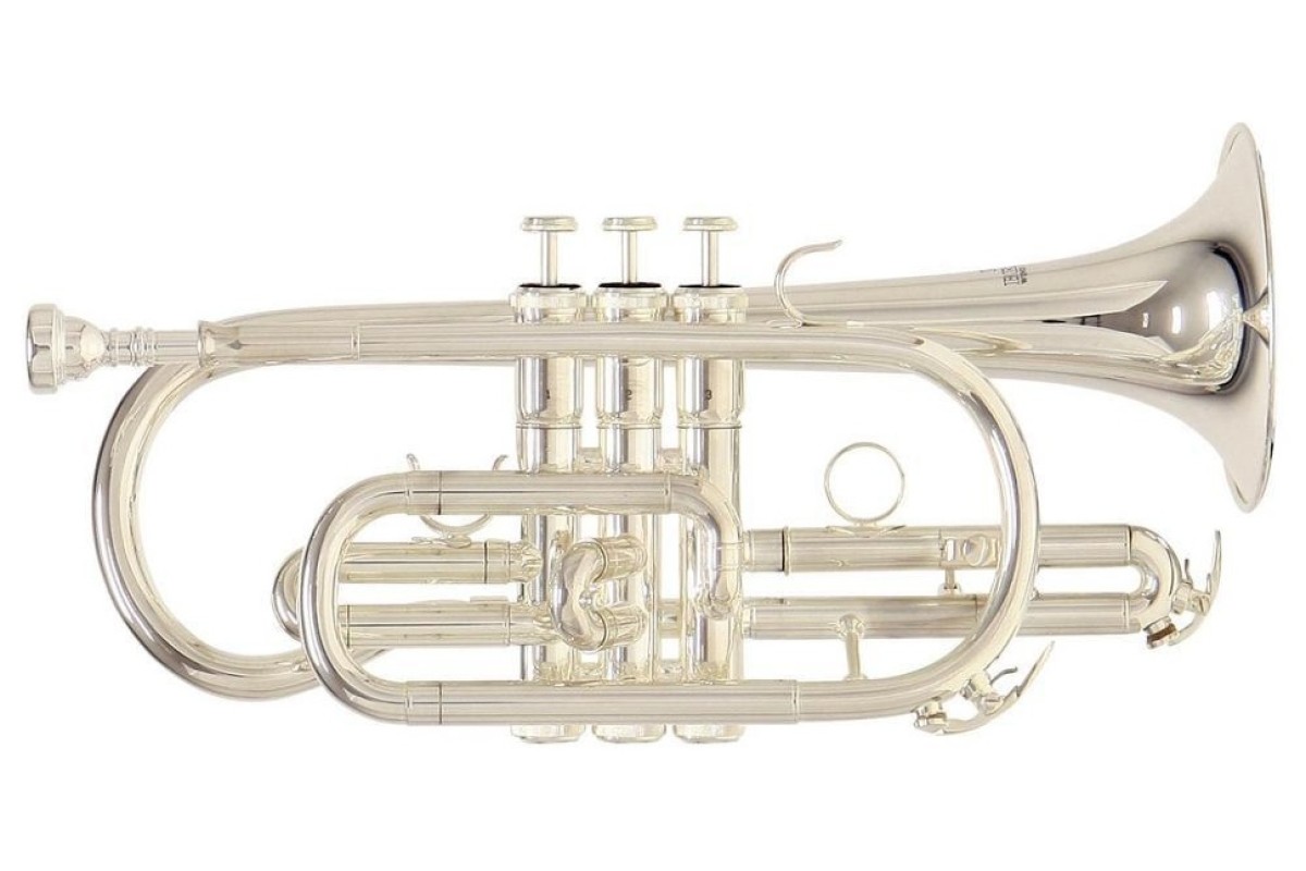 Roy Benson СR-202S корнет Bb