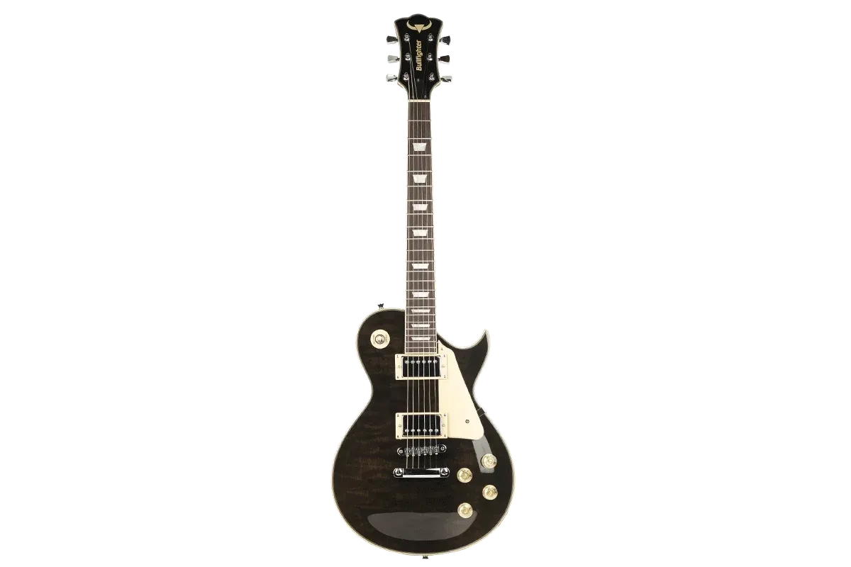 BULLFIGHTER LP-100 BK Электрогитара, чехол в комплекте