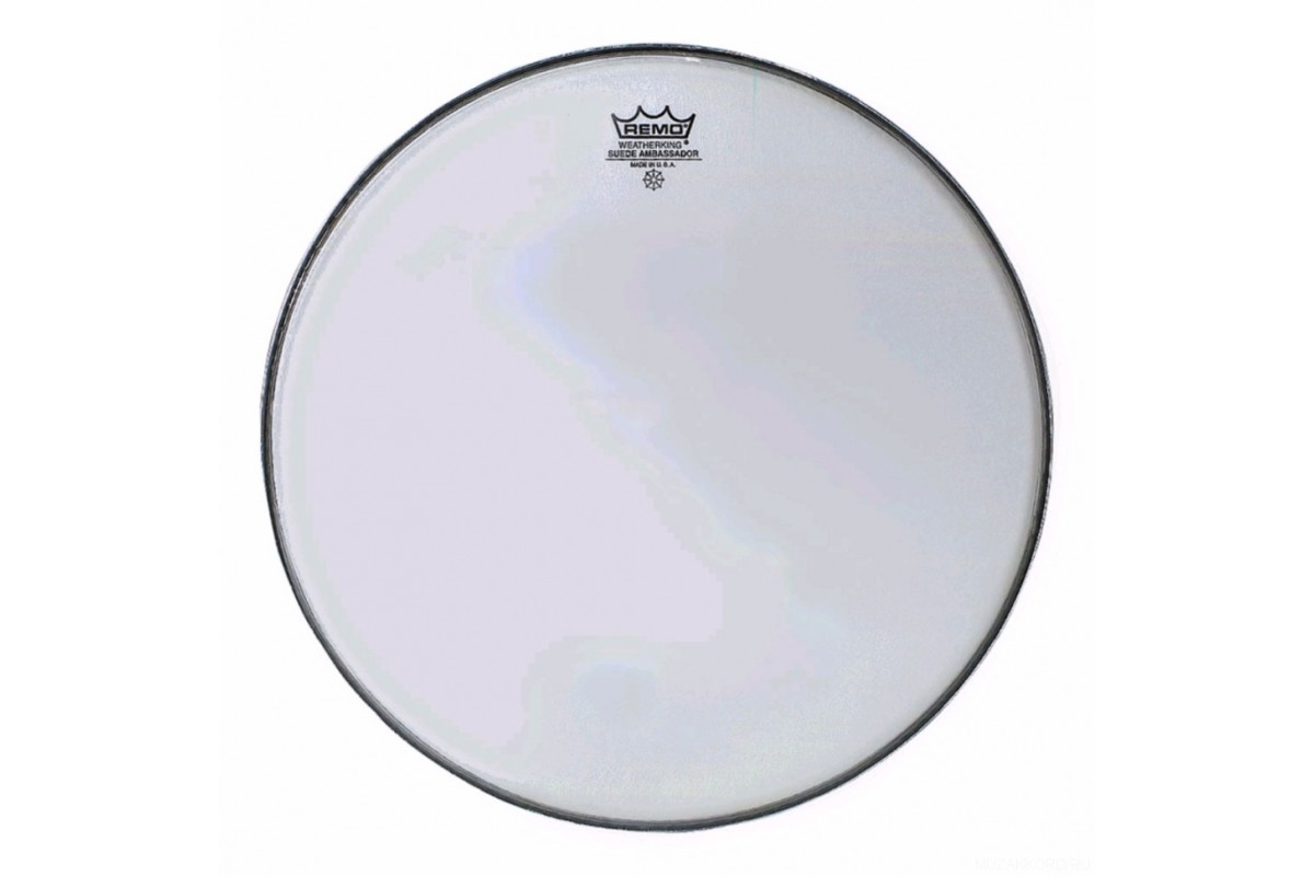 Remo BA-0310-00 Ambassador Batter Clear 10"