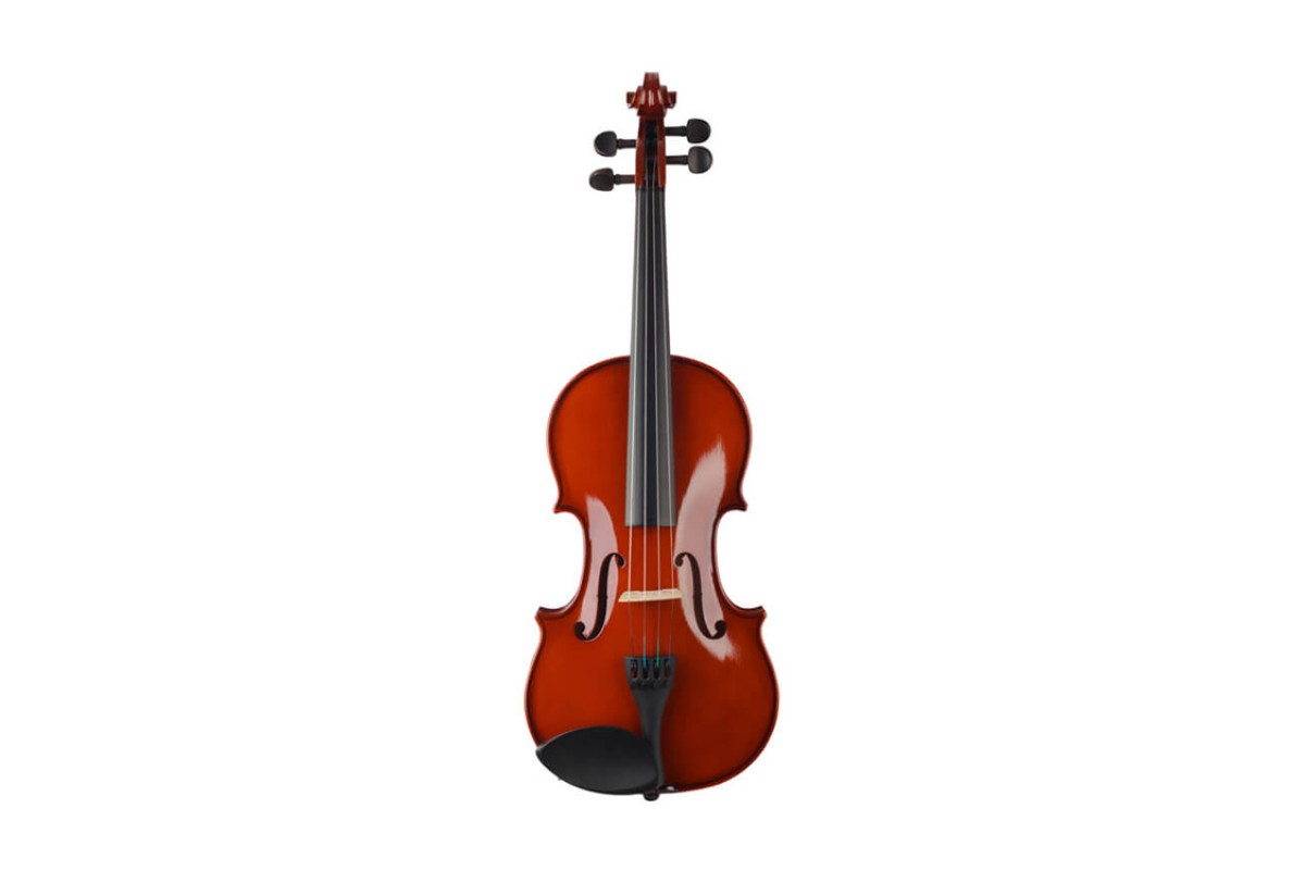 Prima P-100 4/4 скрипка в комплекте