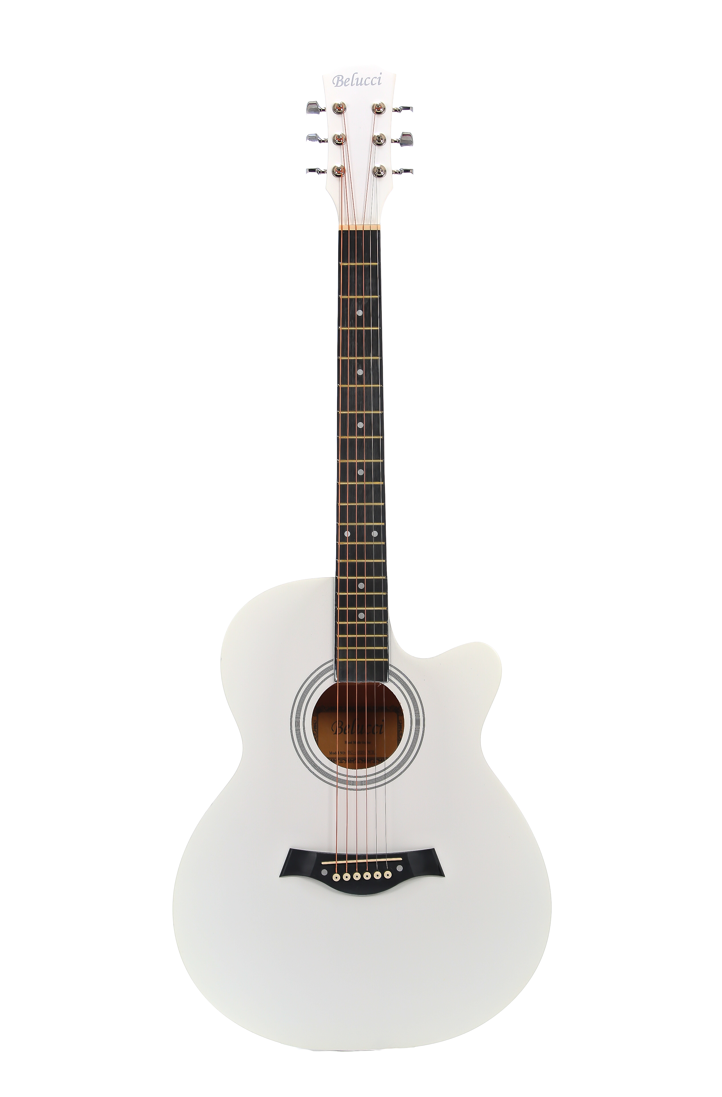 Акустическая гитара Belucci BC4020 WH
