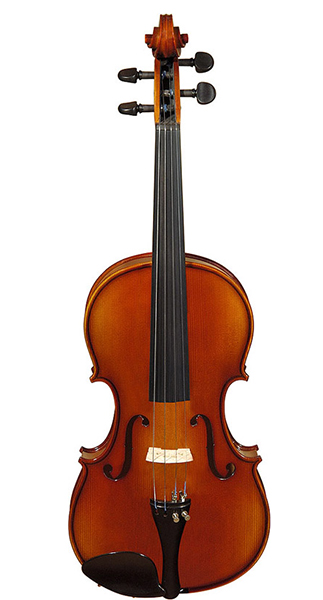 A100-15,0 Rhapsody Student Альт студенческий, Hora A100-15,0 Rhapsody Student Альт студенческий, Hora