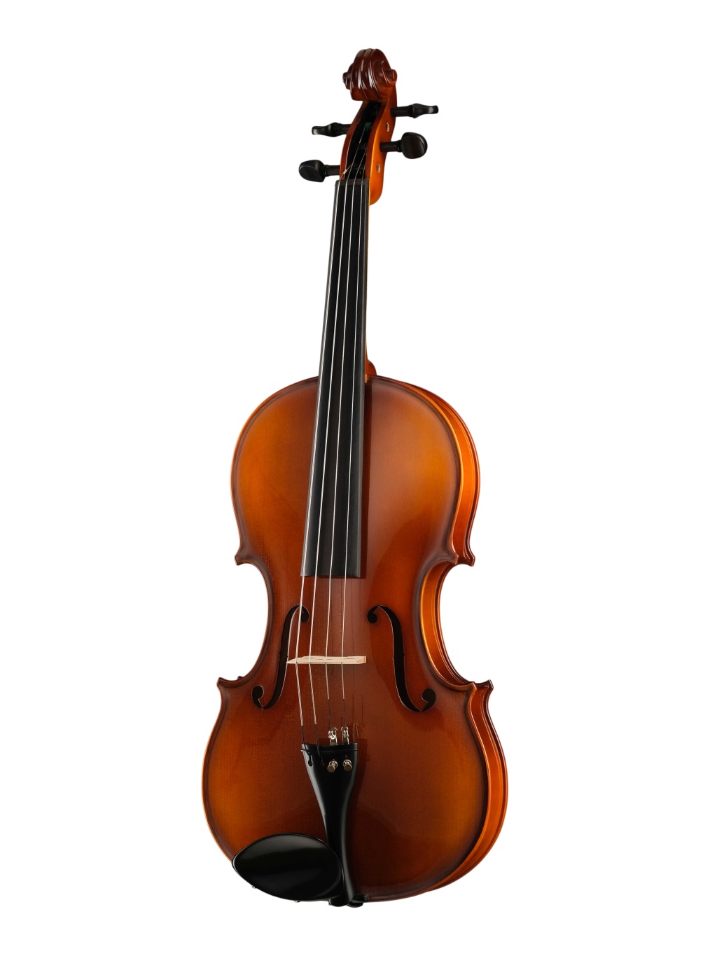 A100-16,5 Rhapsody Student Альт студенческий, Hora A100-16,5 Rhapsody Student Альт студенческий, Hora