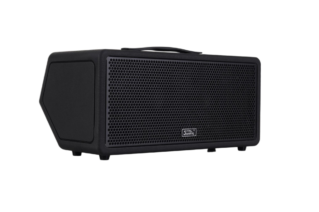 K100-Soundking Комбоусилитель гитарный, портативный, 100Вт, черный, Soundking