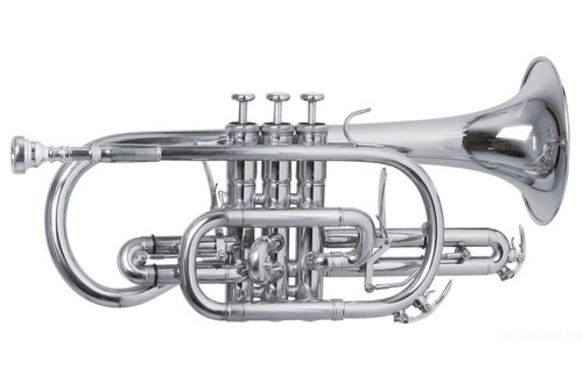 Roy Benson СR-302S Bb корнет