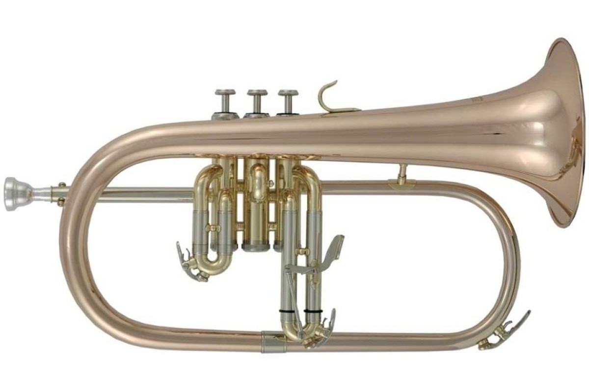 Roy Benson FH-302G Bb флюгельгорн