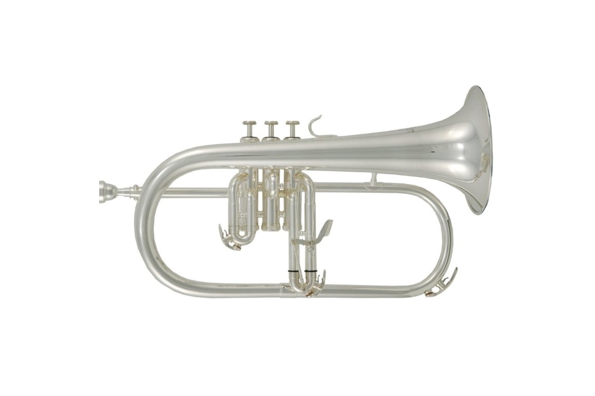 Roy Benson FH-302S Bb флюгельгорн