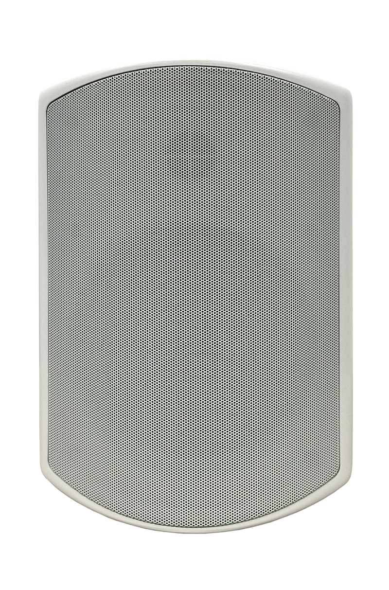 SVS Audiotechnik WSP-6W PRO Всепогодная трансляционная акустическая система