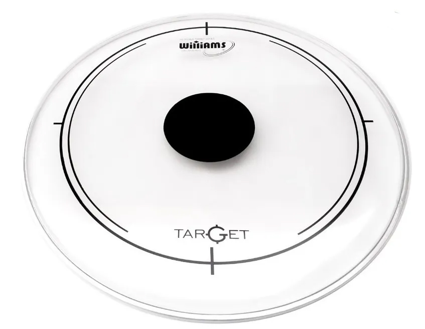 Пластик WILLIAMS [DT2-7MIL-10k] для томов, серия Target Dot Clear, размер 10"